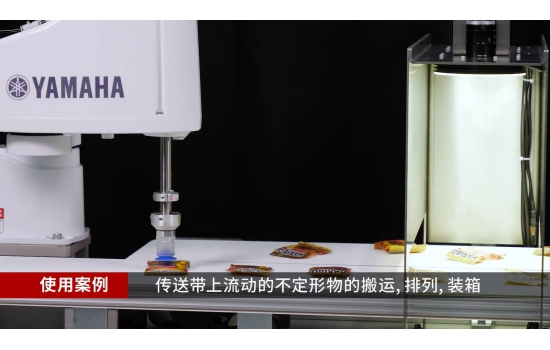 【面向食品服裝行業的應用 】SCARA× 視覺系統「RCXiVY2+」